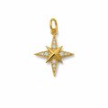 Estrella norte con gemas