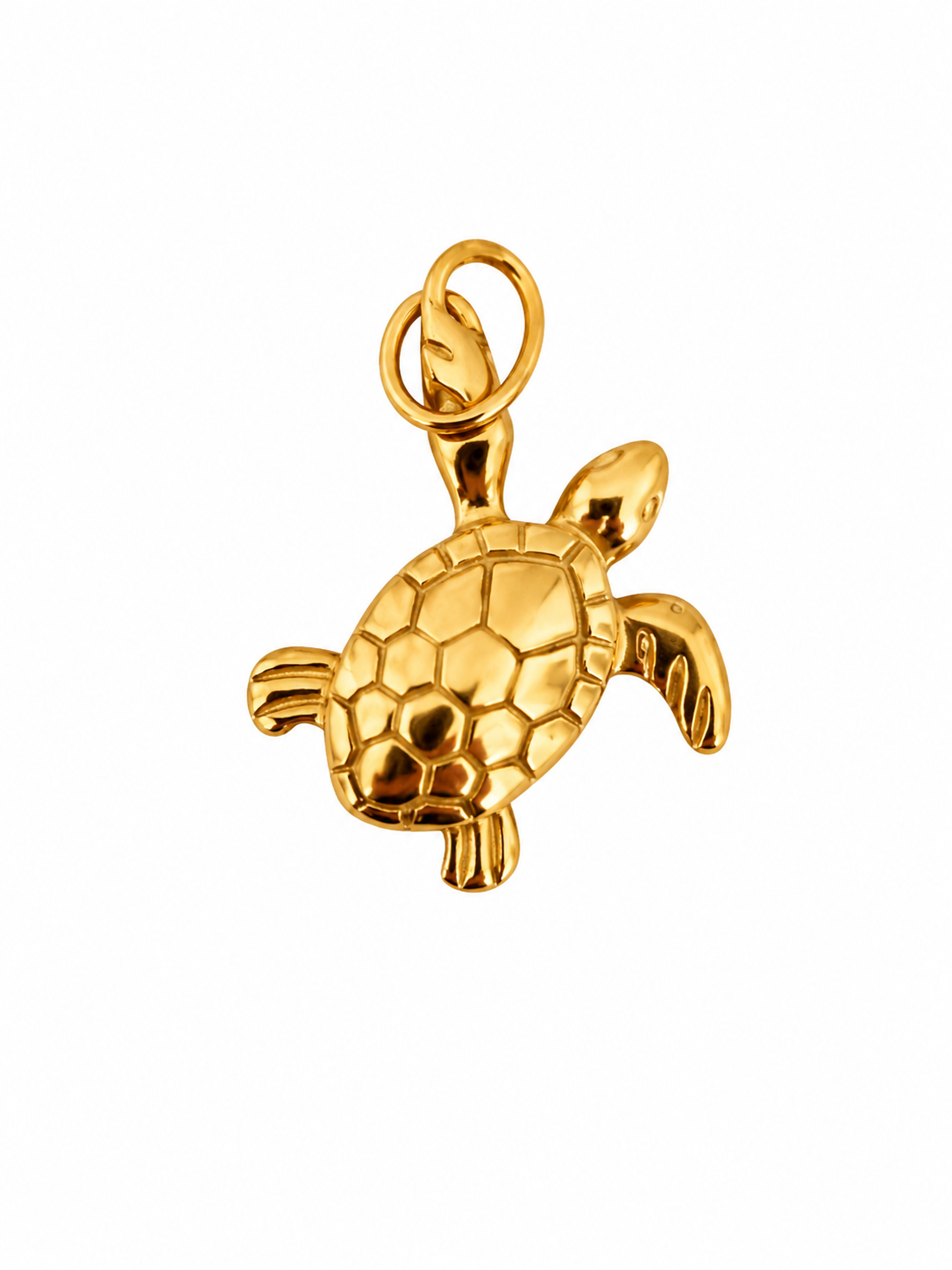 Tortuga dorada